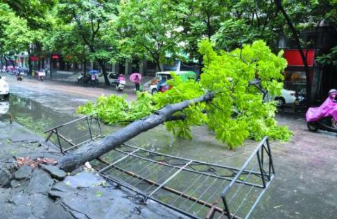 12级狂风有多恐怖,14级大风把飞机吹跑了