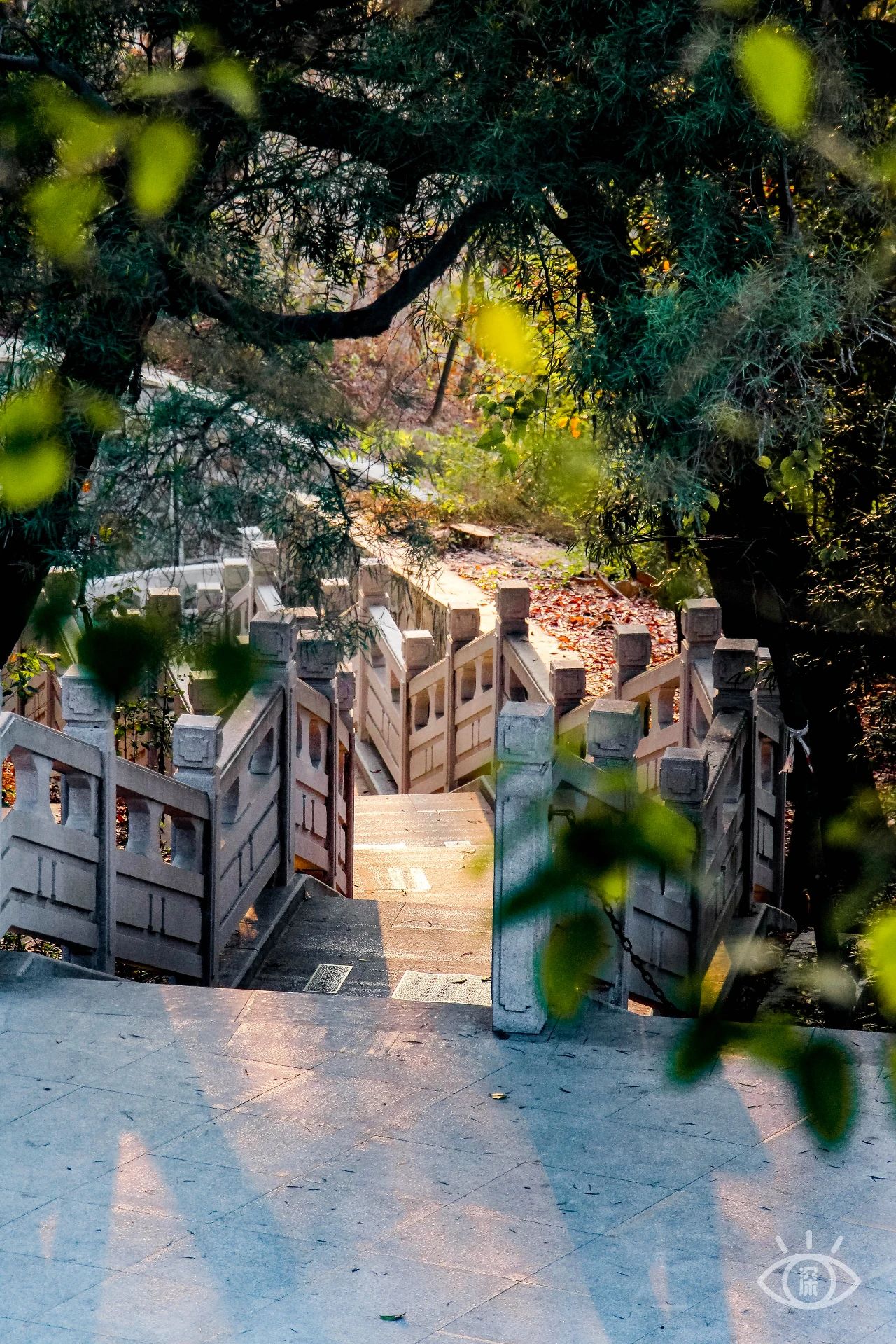 深圳二号线沿线有哪些景点游玩,深圳9号线沿途好玩的地方推荐