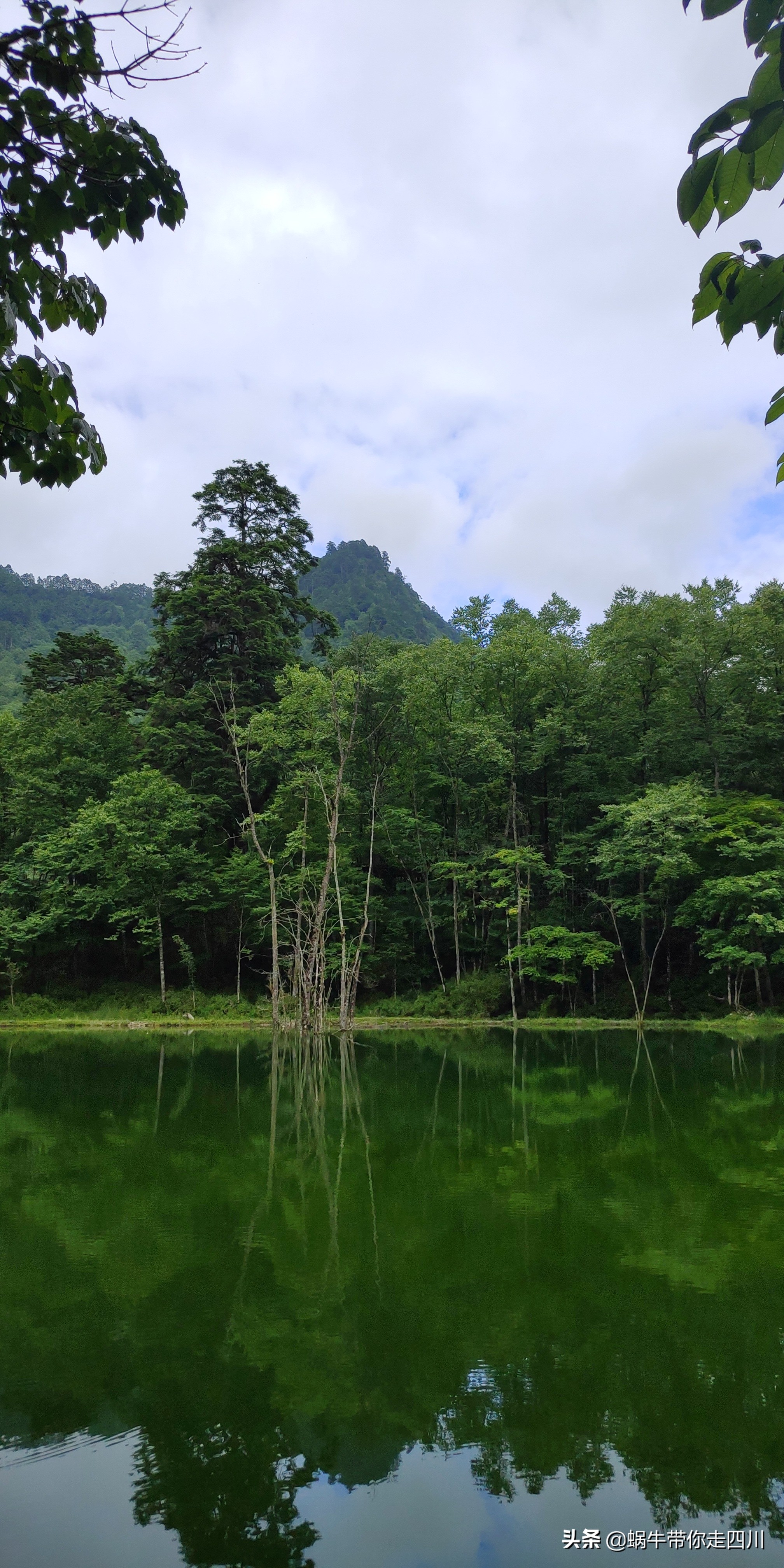 带小朋友出去看小动物,带小孩去海洋动物园