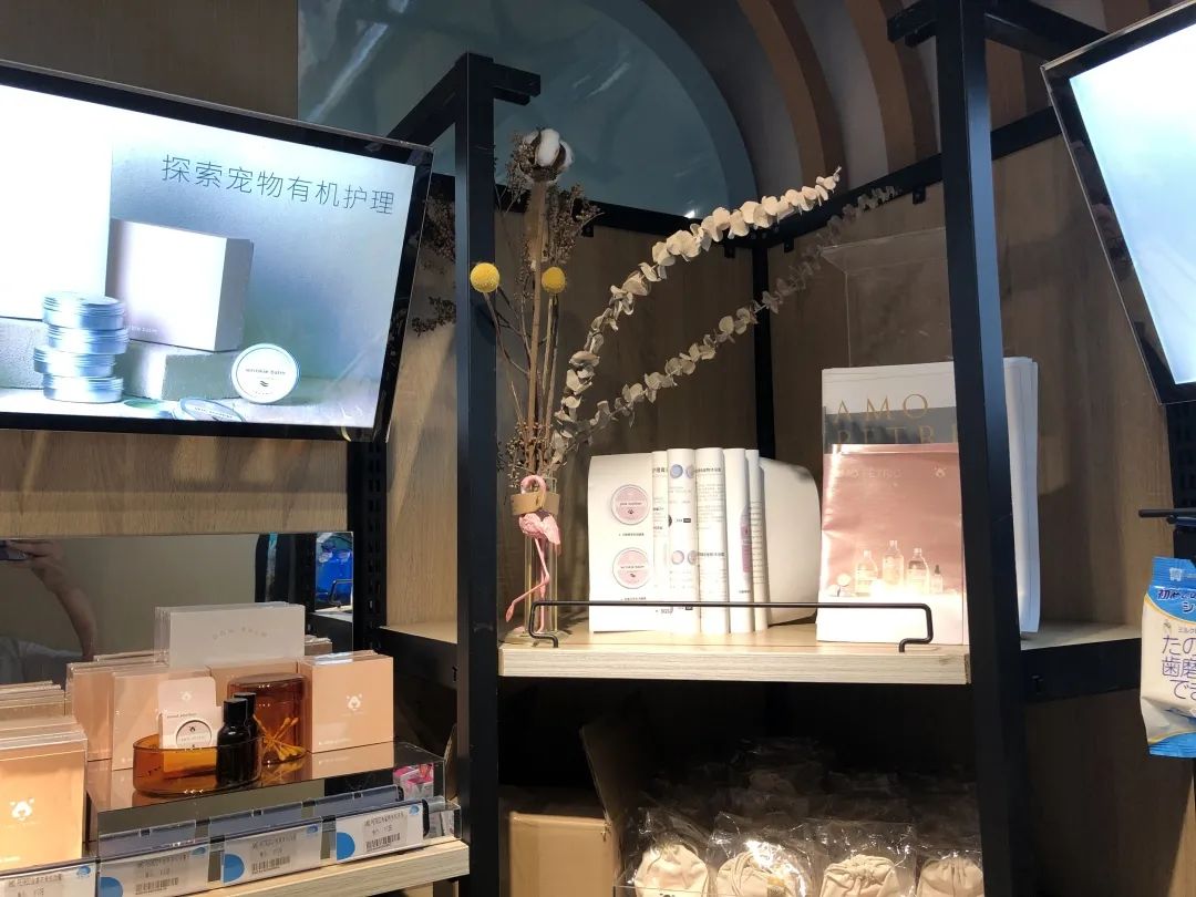 欢迎同行入内,这是一家为宠物店而开的宠物