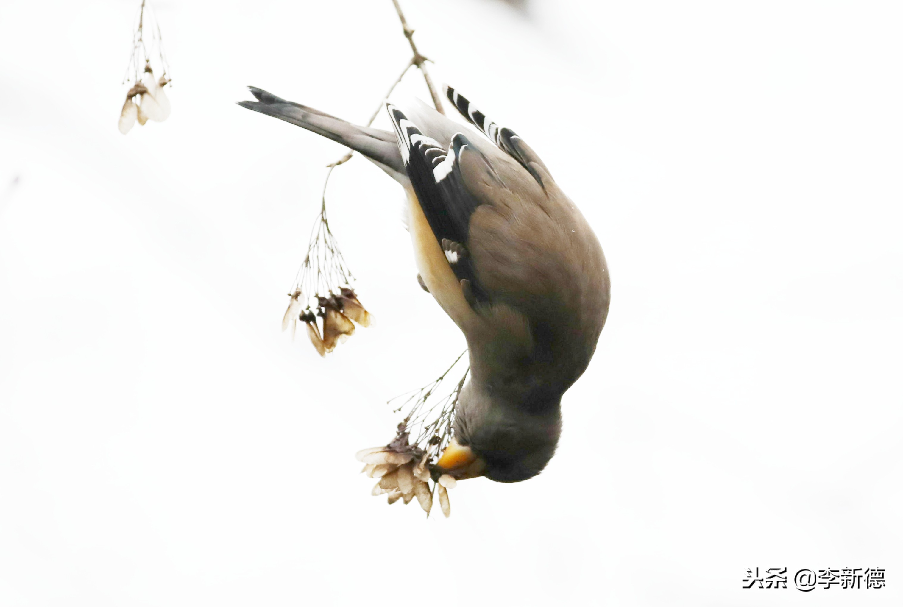 合肥高新区蜀峰湾,合肥市蜀峰湾