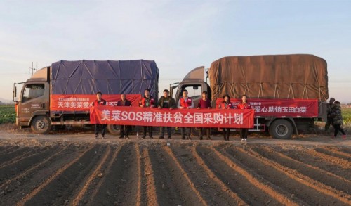 美菜启动助销计划普通市民可认购“爱心白菜”