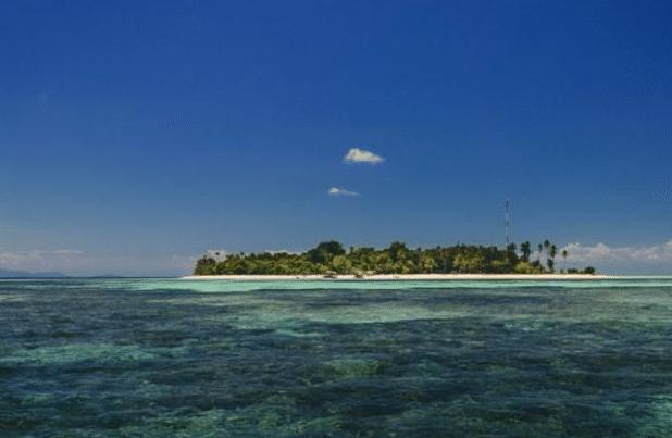 荒岛求生100天挑战有1000万奖金,荒岛求生100万奖金第一季