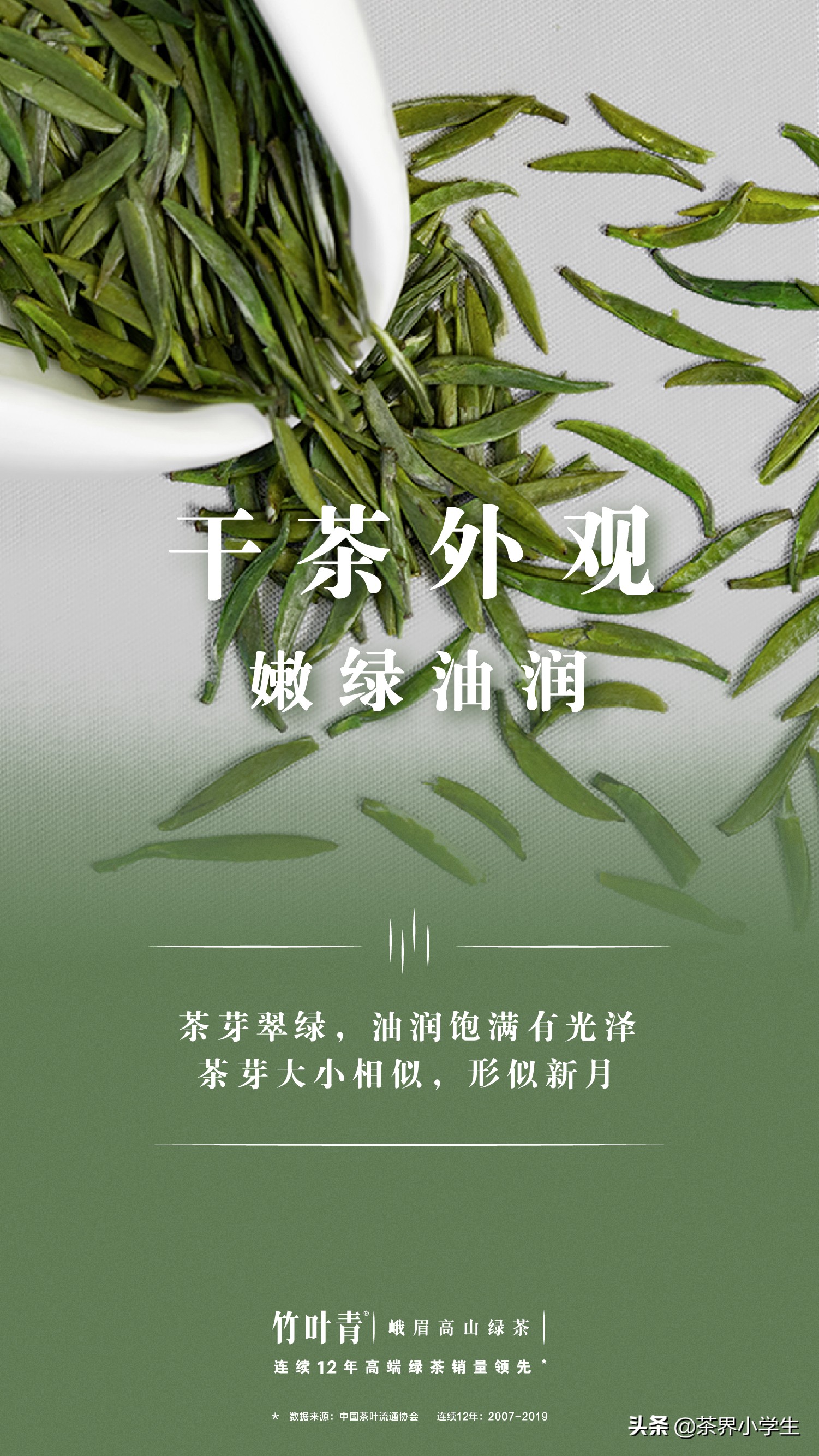 茅台竹叶青,茶界茅台竹叶青