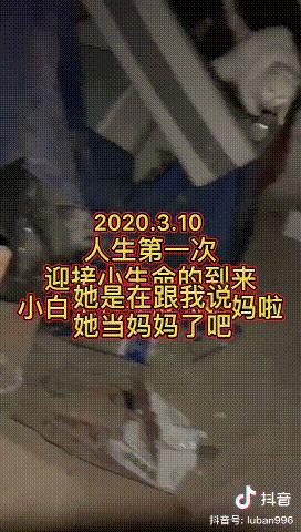 有哪些猫咪在直播,抖音直播出现的猫咪