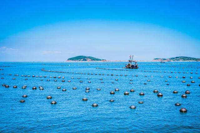 突然就想去旅游了,忽然间就想去厦门了