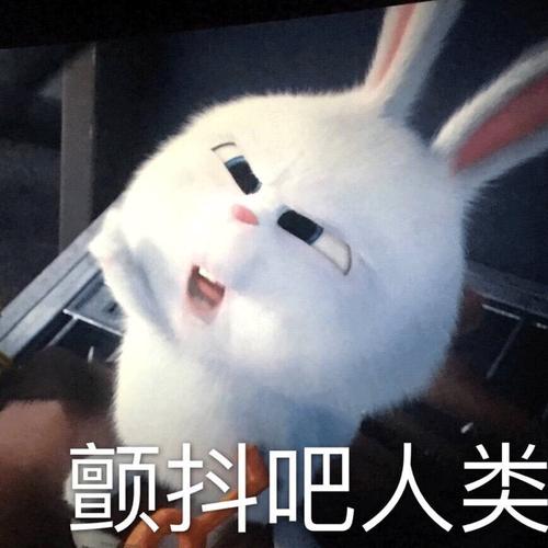 兔女郎的由来，没想到看似单纯的兔子原来这么“色”