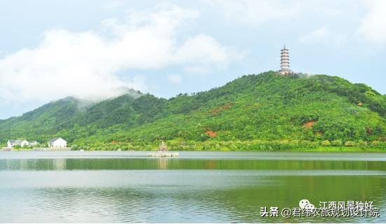 鄱阳湖候鸟保护区站长是谁,鄱阳湖候鸟江西都昌县