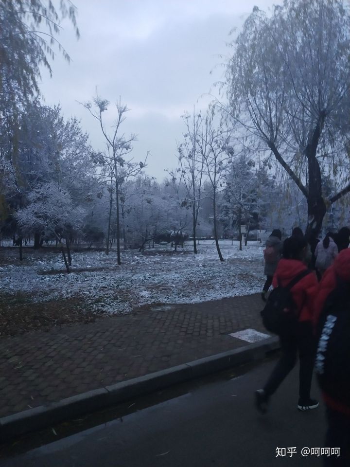 青岛农业大学机械类在哪里就读,青岛农业大学在哪里读