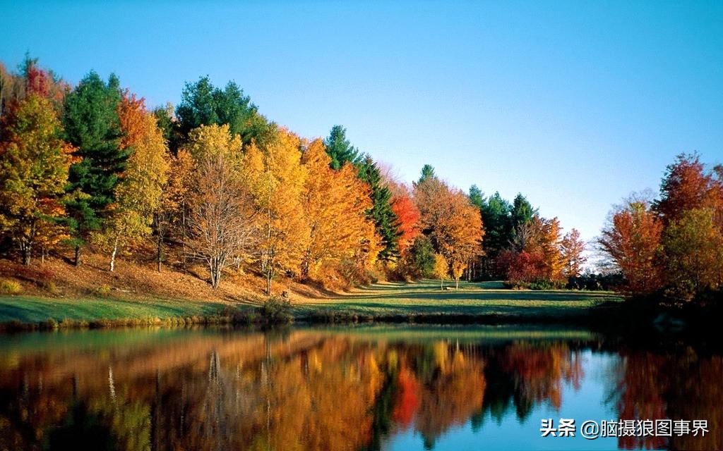 秋叶拍照构图,如何拍摄秋叶照片