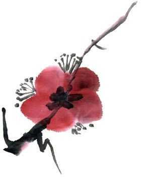 国画梅花上的雪画法步骤教程视频,零基础国画入门画梅花教程