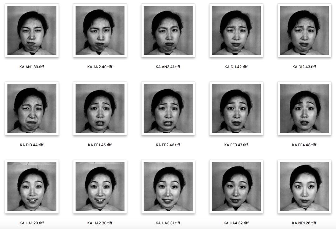 超两万字的最全人脸数据集介绍汇总，从人脸检测到人脸风格化