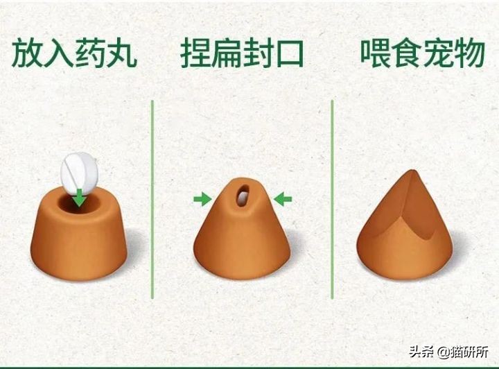 一学就会的喂药秘笈！轻松解决猫咪的吃药难题