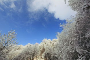 古诗北风的意象,古诗中的北风意象