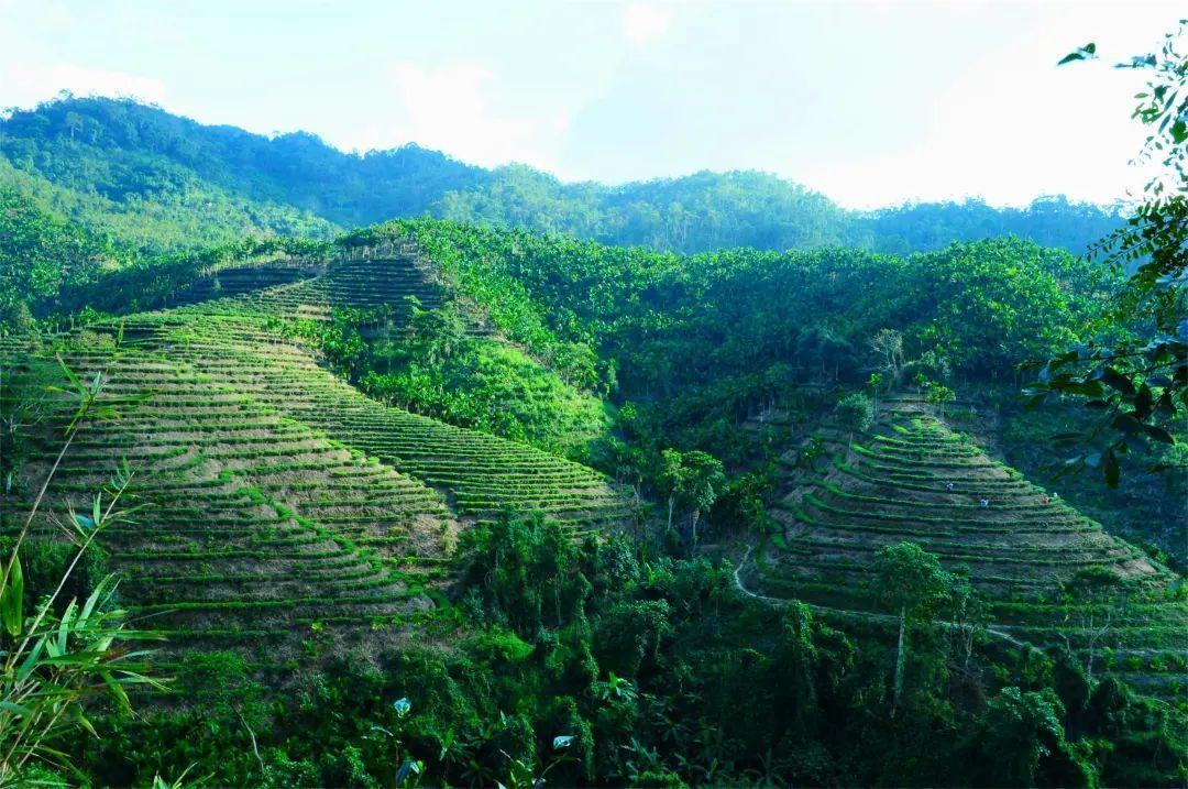 北纬18°海南,北纬十八度保亭