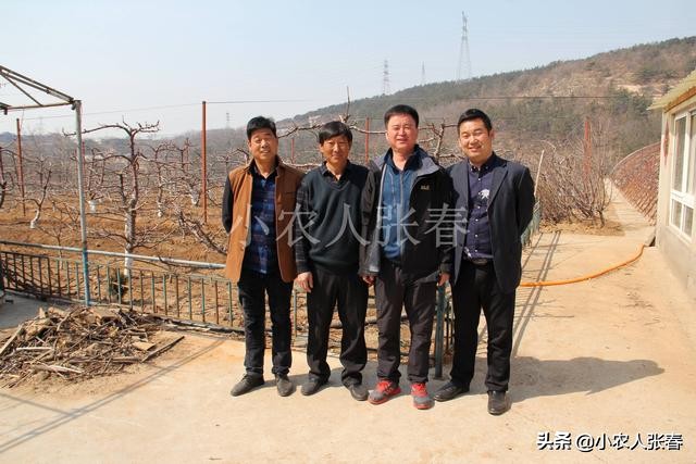 樱桃爸爸打了娇娇一巴掌,樱桃爸爸怒扇耳光