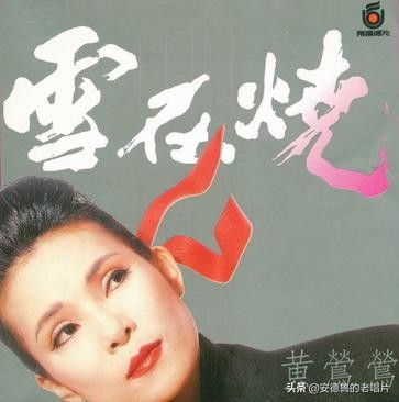 「安德鲁的老唱片」潮-来自台湾的歌声(1)1989
