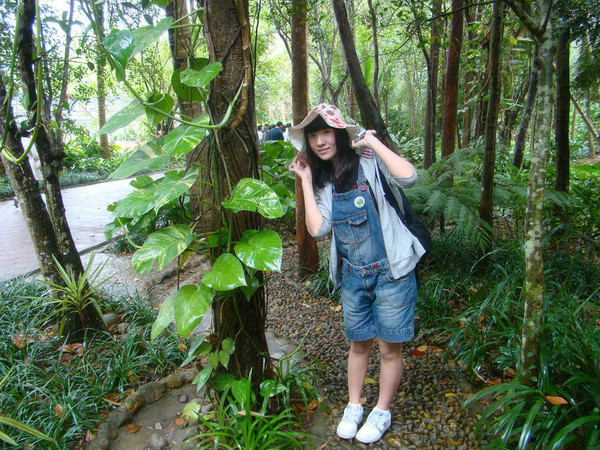 西安到三亚旅游攻略自由行费用,海南旅游攻略自由行三亚最佳路线