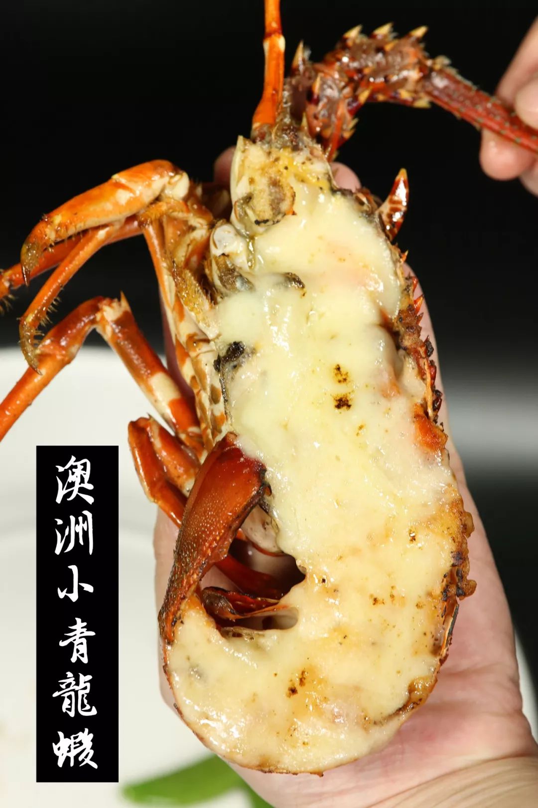 深圳轻奢酒窖,深圳日式居酒屋日料