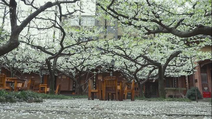 第1家国家4a级旅游区的大学博物馆,隐藏在各大校园里的有趣博物馆