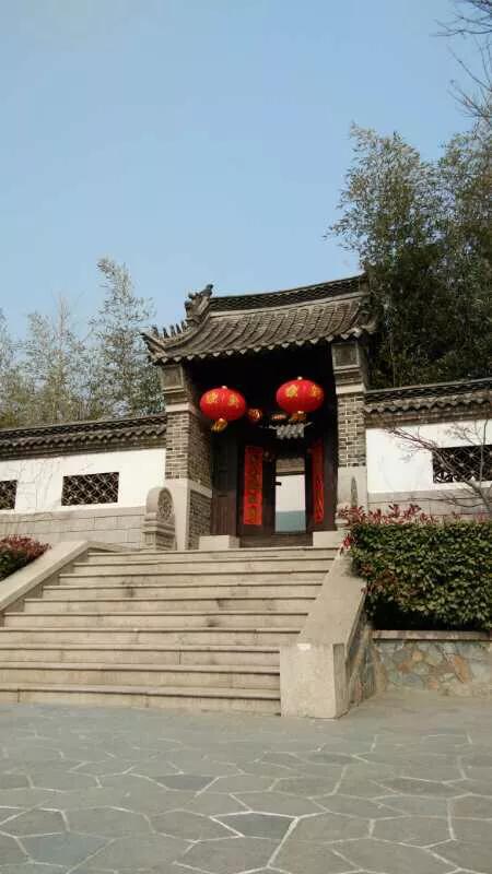 手拍世界完整版视频,手拍世界作品专集