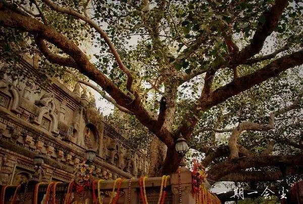 10年过去了,上海超越孟买了吗?