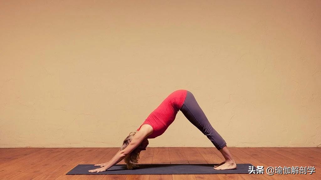 练瑜伽小腿粗不练能不能瘦,练小腿感觉没效果怎么回事