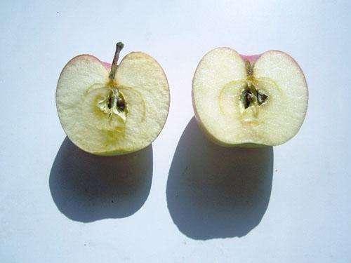 抗衰老逆龄秘诀,比同龄人显老抗衰老食物