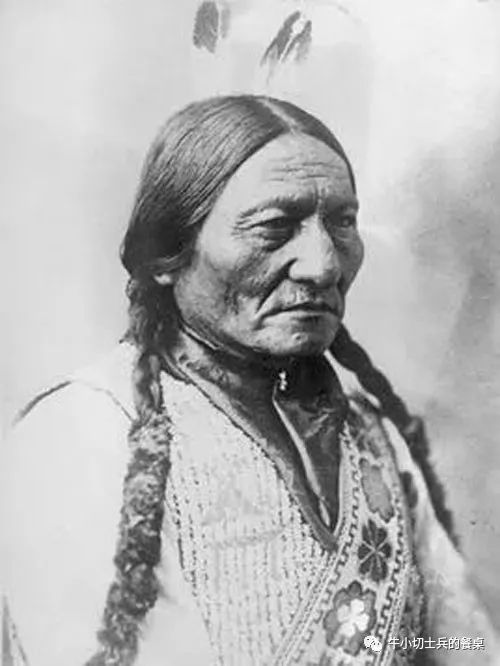 印第安人狩猎美洲野牛,美洲野牛印第安人