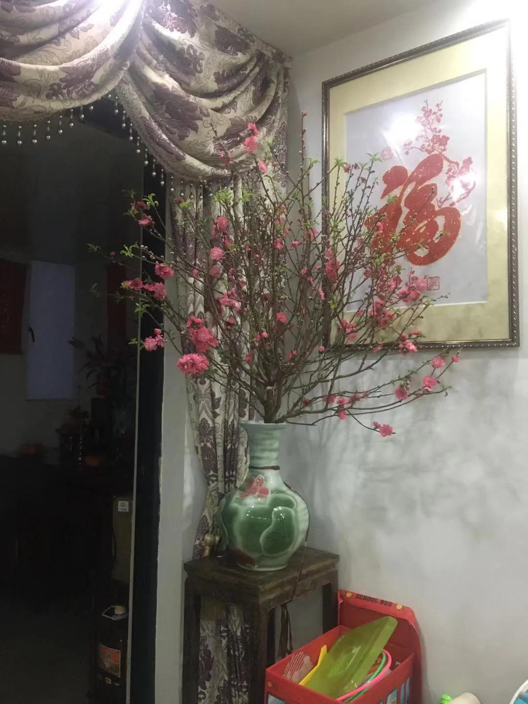 桃花励志花语大全,桃花的星座和花语