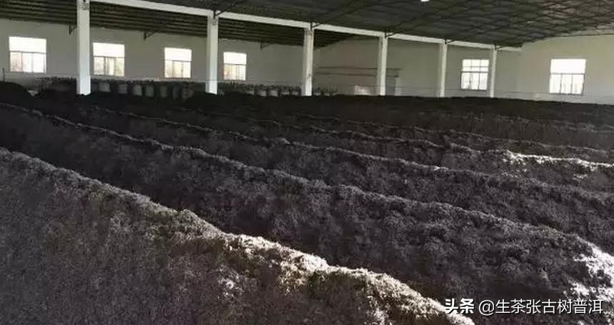 喝熟普洱茶不得不知道的6个好处,喝普洱茶的十大禁忌不得不看