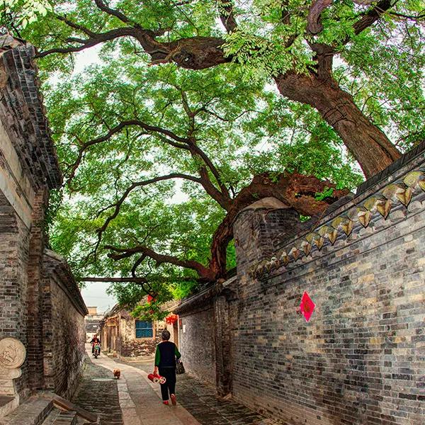 长三角城市群最佳旅游线路,长三角示范区旅游详细攻略