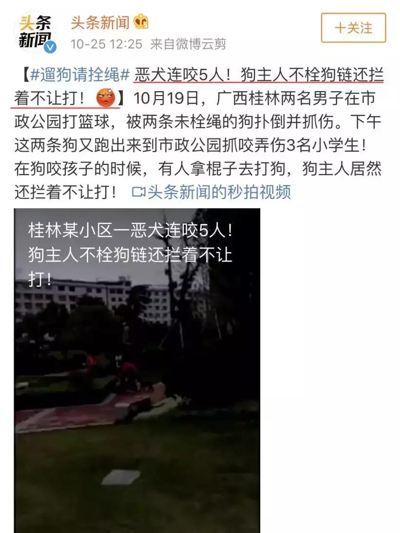 养狗条例晚上能小区遛狗吗,最严养狗令最新消息