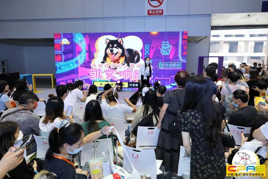 第二届天一重庆国际宠博会,宠博会重庆2020