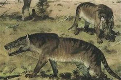 银弹杀死狼人,狼人被银弹打死的电影