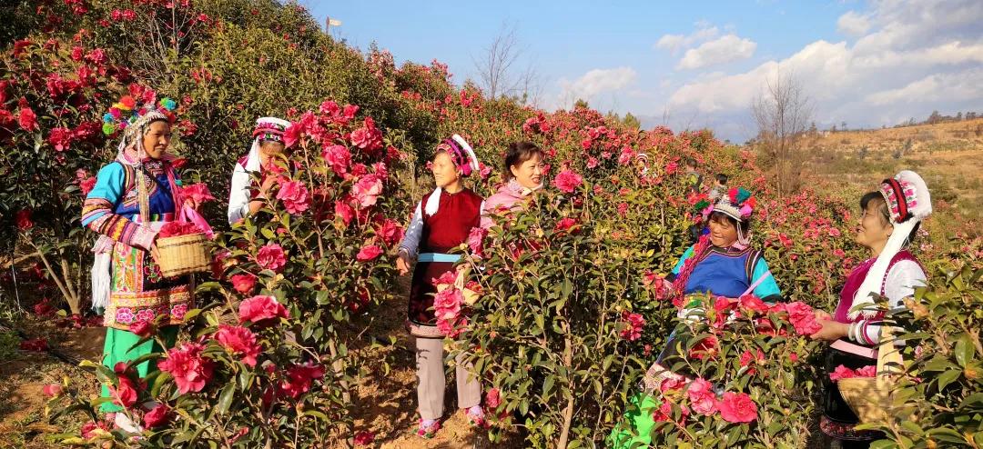 2023平遥国际摄影节获奖摄影作品,2009大理摄影展获奖作品