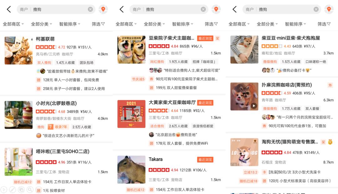 在三里屯体验网红狗咖｜求治愈遭狗子冷淡回应，顾客寥寥无几，我花89元看狗打架1小时