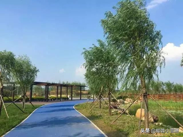 郑州适合晨跑的地方,郑州晨跑圣地