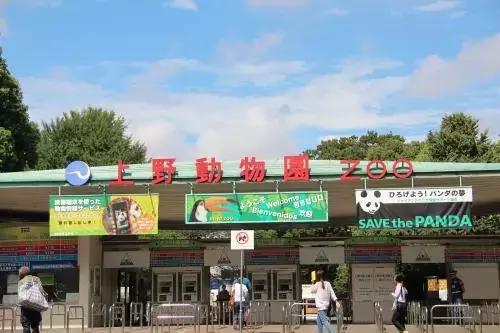 种草带娃出游好物,2岁宝宝出境游推荐