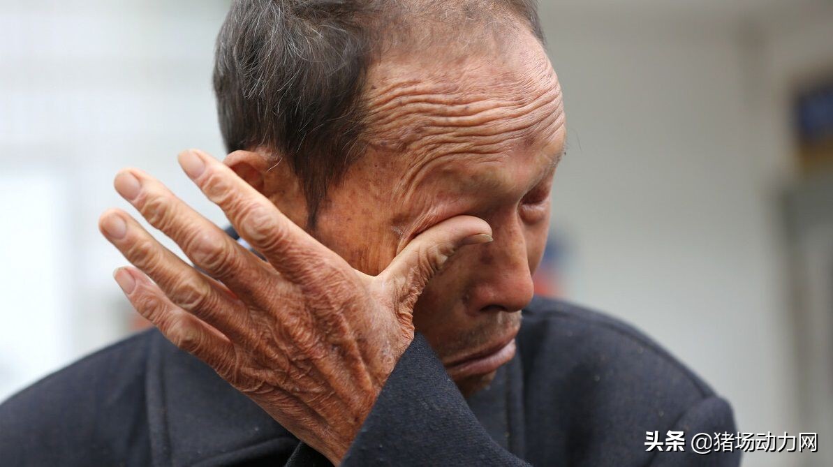 刚刚！豆粕大涨210元/吨，7月第一波饲料原料涨价潮来了