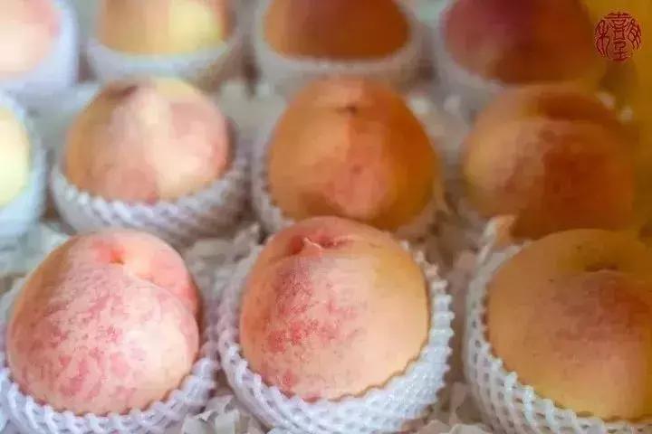 苏州通安的特色,苏州通安有什么美食