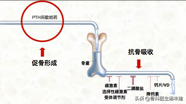 特立帕肽效果怎么样,特立帕肽有哪些牌子