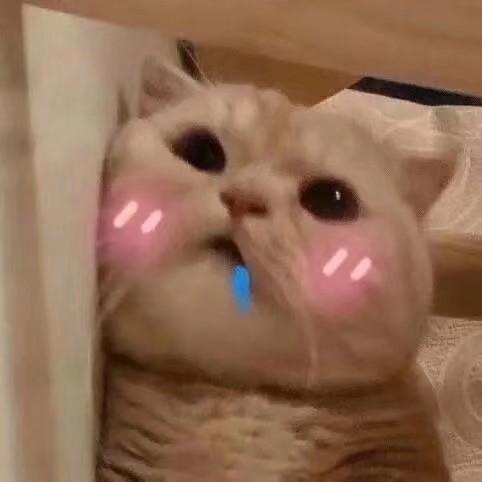 表情包大全可爱简单,可爱表情包我就是个不争气的东西