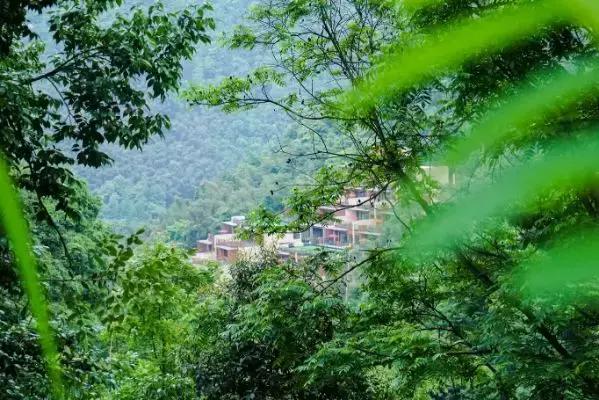 遗世独立的隐居酒店，大自然的馈赠——宁海安岚酒店