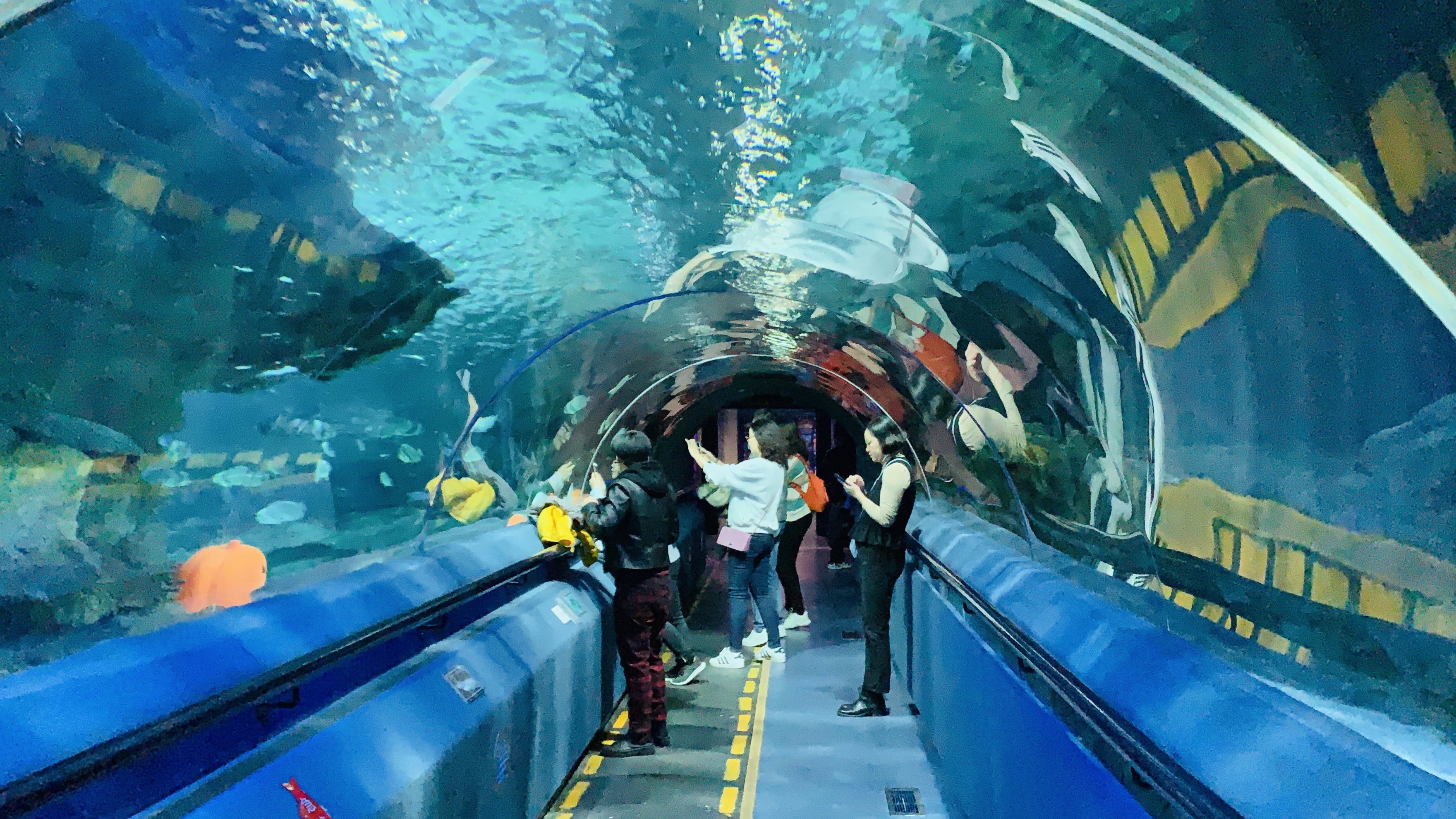 北京富国海底世界周围景点,工体富国海底世界游览攻略