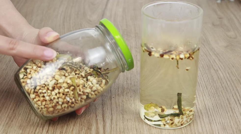 冬瓜皮和茯苓再加荷叶能祛湿吗,薏米加冬瓜皮可以天天吃吗