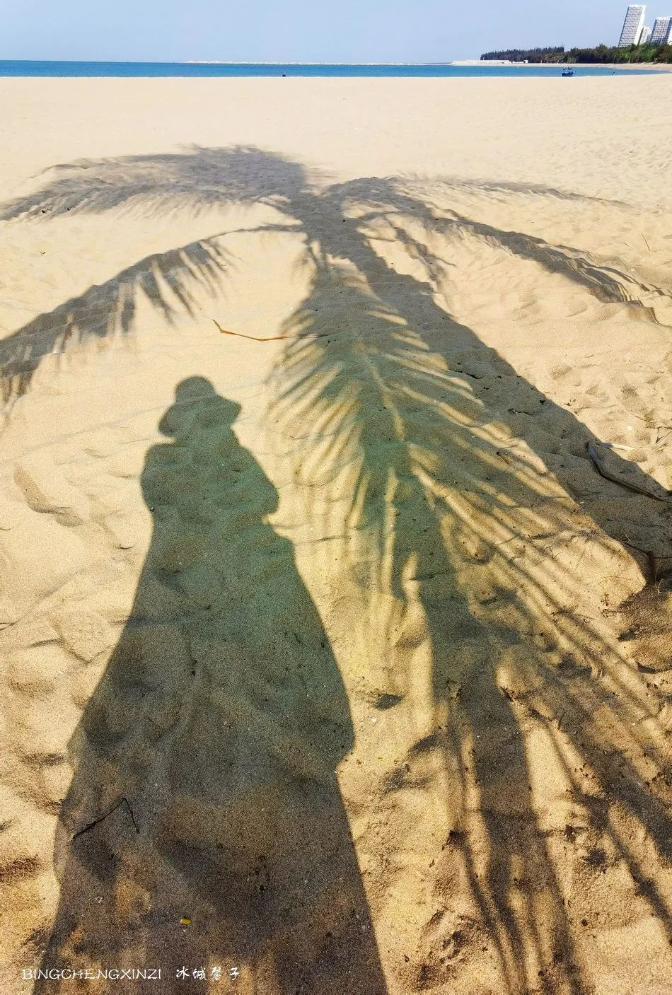 踏海听浪游泳的相关歌曲,听海的声音海浪拍打沙滩