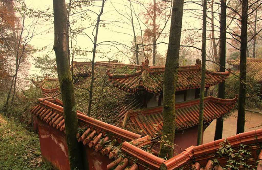 隐于成都闹市的小众古刹,成都最值得去的古寺