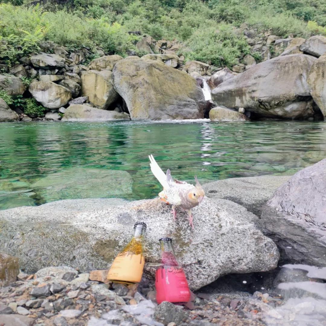 成都周边耍水自驾游,成都周边耍水都关闭了吗