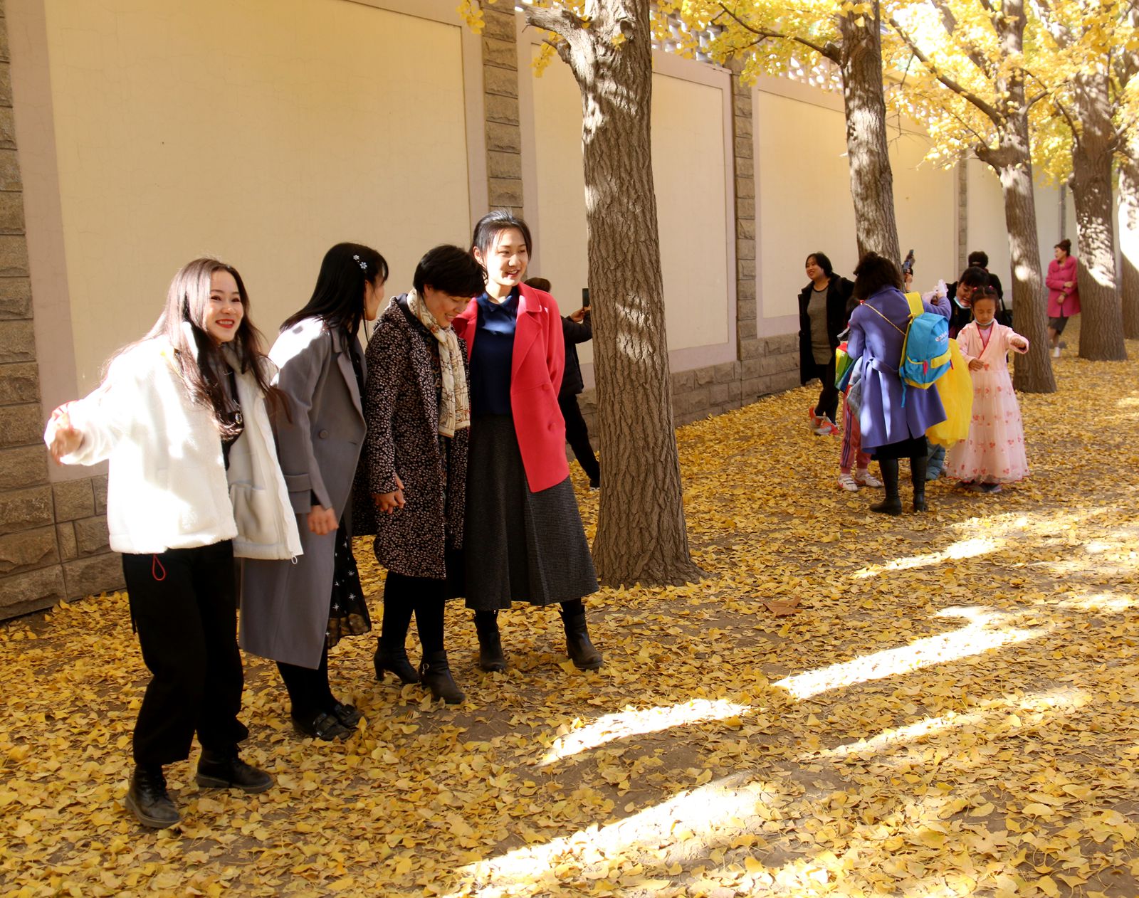 北京钓鱼台国宾馆银杏树大道,北京钓鱼台银杏大道图片